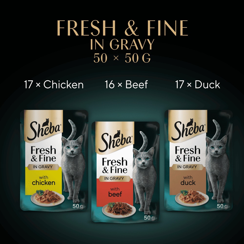 SHEBA® Fresh & Fine Adult Wet Cat Food Meaty Pieces In Gravy 50x50g Pouches - 6