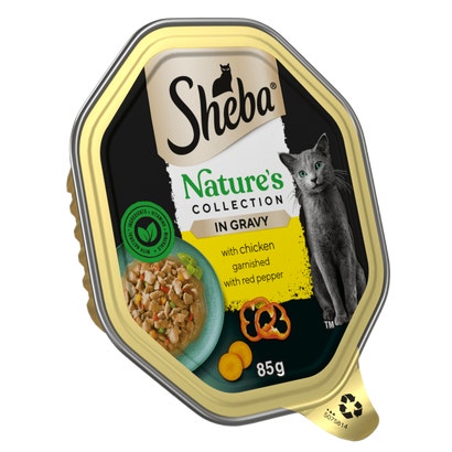 Nature's Collection with Chicken in Gravy