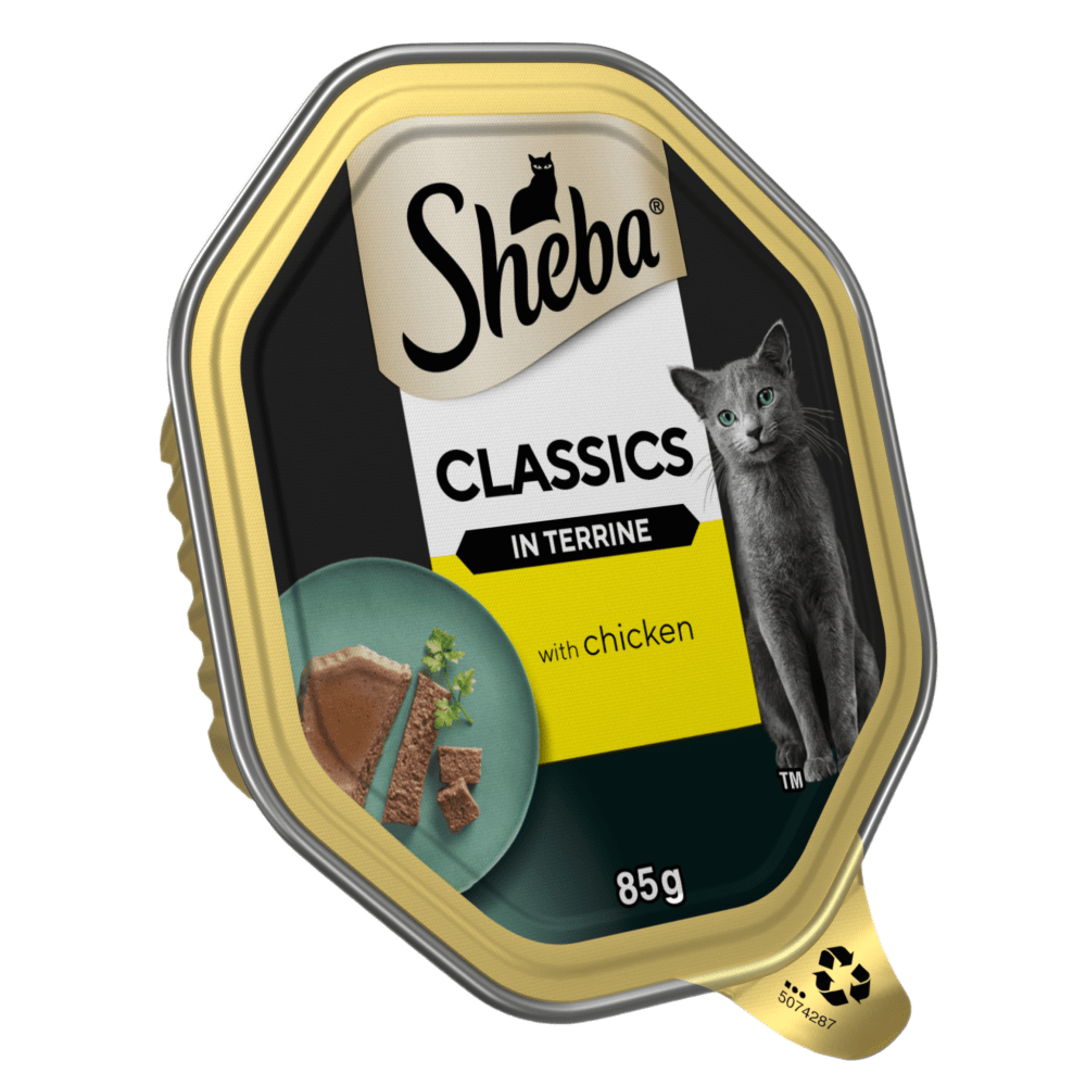 Classics with Chicken in Terrine