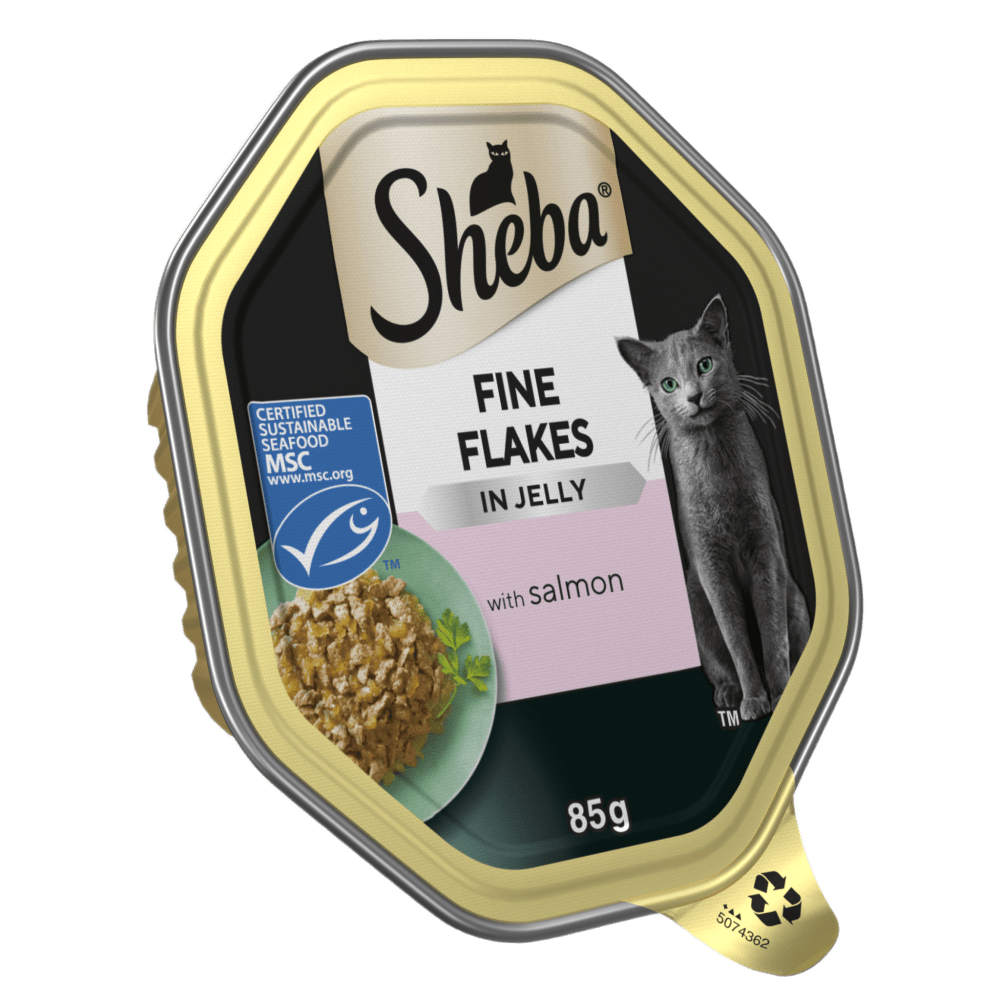 Fine Flakes with Salmon Jelly