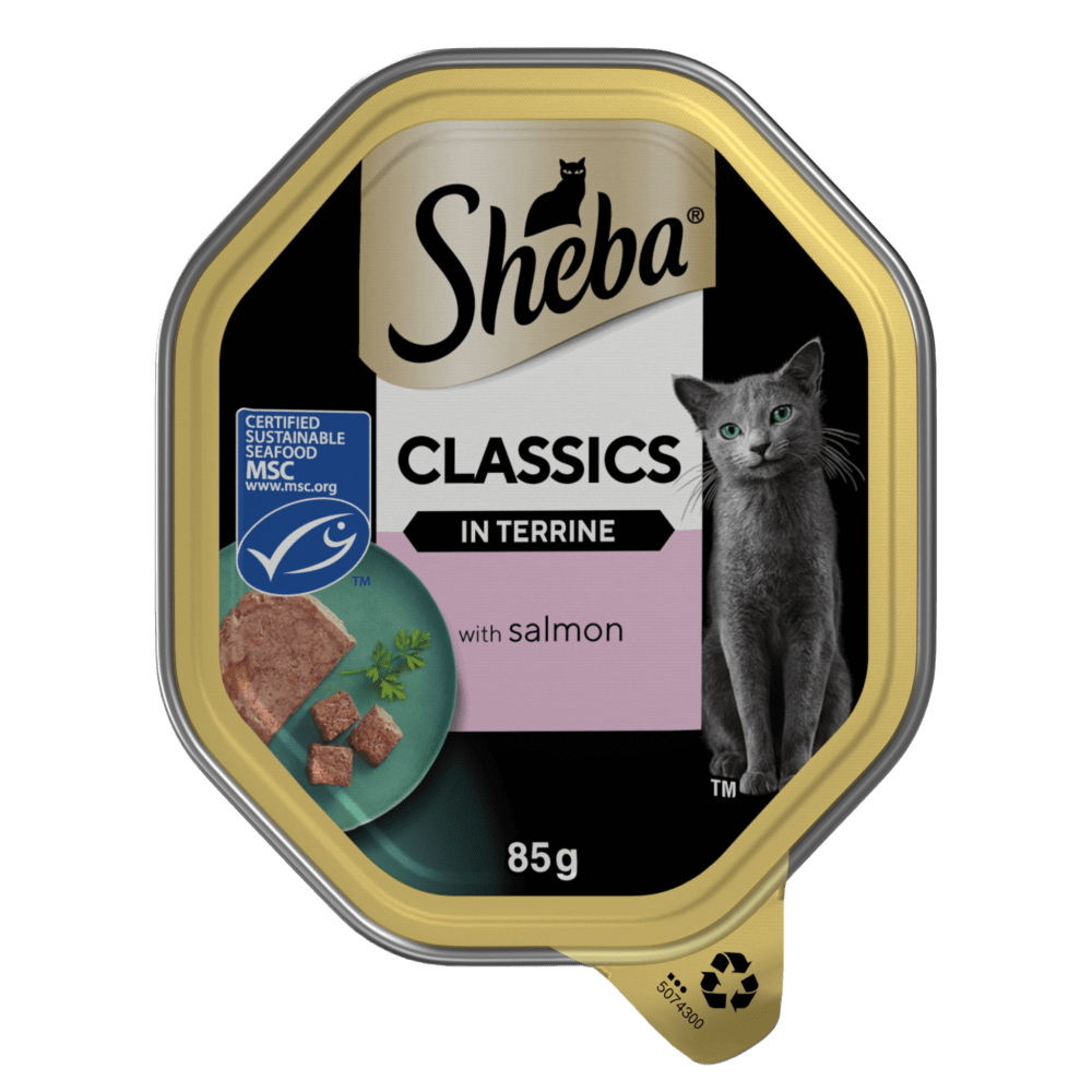 Classics with Salmon in Terrine