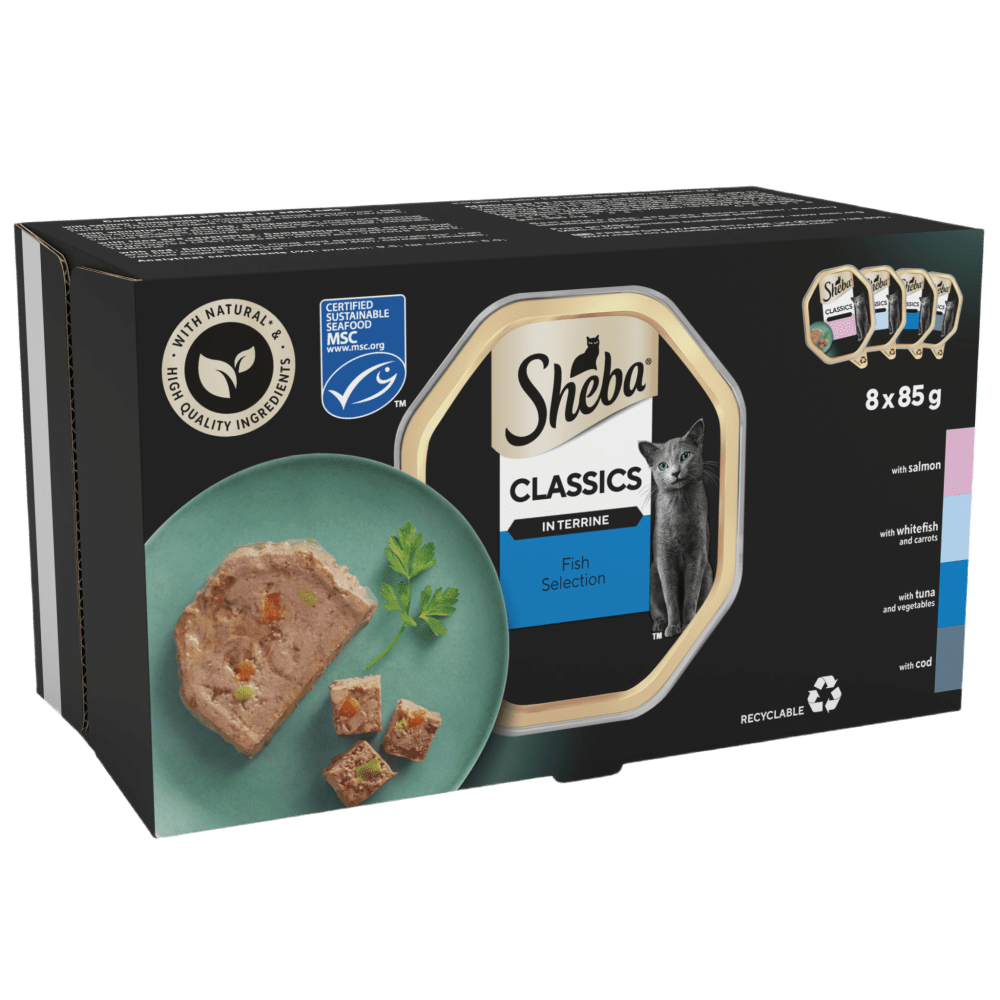 SHEBA Classics Adult Cat Food with Salmon in Terrine 8 x 85g Tray